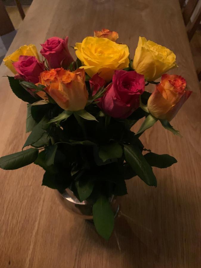 Linköping Stenholmens Gardshotell מראה חיצוני תמונה